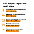 ИБП для котла Энергия Гарант 750 + Аккумулятор 55 Ач 12 В (450Вт - 67мин) - ИБП и АКБ - ИБП для котлов - Магазин электротехнических товаров Проф Ток
