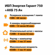 ИБП для котла Энергия Гарант 750 + Аккумулятор 75 Ач 12 В (450Вт - 91мин) - ИБП и АКБ - ИБП для котлов - Магазин электротехнических товаров Проф Ток